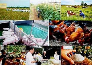 Giải pháp Nông nghiệp